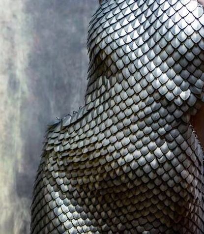 Dress of metal scales Yennefer Of Vengerberg, Joan Of Arc, Red Queen, Throne Of Glass, Chain Mail, A Song Of Ice And Fire, Dragon Age, Dark Fantasy, Scales