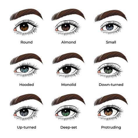 How to Apply Eyeshadow like a Pro: From Everyday to Glam with Expert Guide Makeup Tips Eyeshadow, Eyeshadow Styles, Natural Eye Makeup Tutorial, Under Eye Makeup, Eye Makeup Application, Silver Eyeshadow, Deep Set Eyes, Cute Eyeshadow Looks, Eyeshadow For Blue Eyes