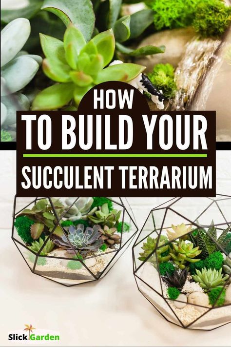 How To Build Your Succulent Terrarium? Succulents are the centerpiece of your terrarium so you should choose different succulent plants. You should keep in mind that the needs of all succulent plants are not the same. Living Centerpieces, Grad Centerpieces, Mini Succulent Garden, Succulents In Glass, Build A Terrarium, Event Centerpieces, Open Terrariums, Diy Succulent Terrarium, Small Terrarium