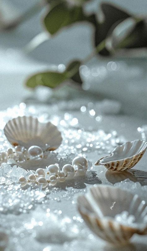 Seashell Mood Board, Pearl Aesthetic Fashion, Perla Core, Lady Aphrodite, Pearls Aesthetic, Stone Aesthetic, Pearl Aesthetic, Pearls Photography, Pearl Wallpaper