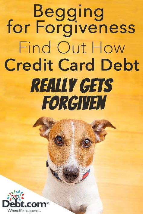 A Realist’s Guide to Credit Card Debt Forgiveness. Debt forgiveness is possible, but you need to be pragmatic and understand you usually don’t get something for nothing. Credit Card Payoff Plan, Debt Snowball Calculator, Debt Forgiveness, Improve Credit, Balance Transfer Credit Cards, Credit Debt, Debt Freedom, Credit Card Debt, Paying Off Credit Cards