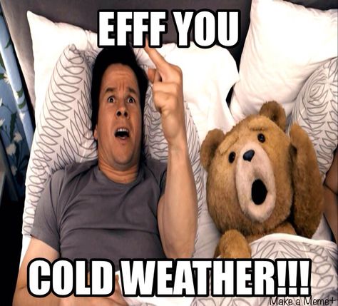 Eff you cold weather! I Griffin, Thunder Buddy, Ted Movie, John Bennett, Sound Of Thunder, Joel Mchale, Seth Macfarlane, Funny Scenes, Mark Wahlberg