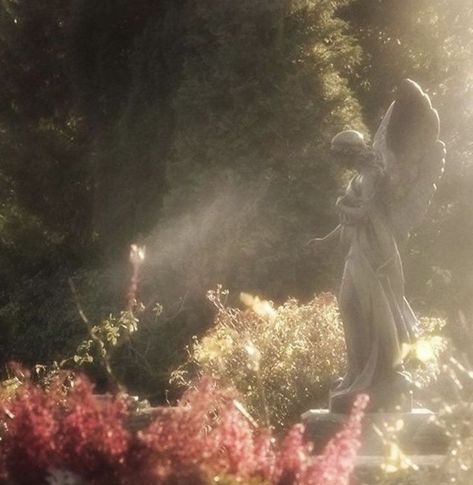 #greekmythology #greekgods #persephone Angel Statue, Ethereal Aesthetic, Angel Aesthetic, Fairy Aesthetic, Magic Aesthetic, Aesthetic Flowers, Pretty Landscapes, Fantasy Aesthetic, Ethereal Art