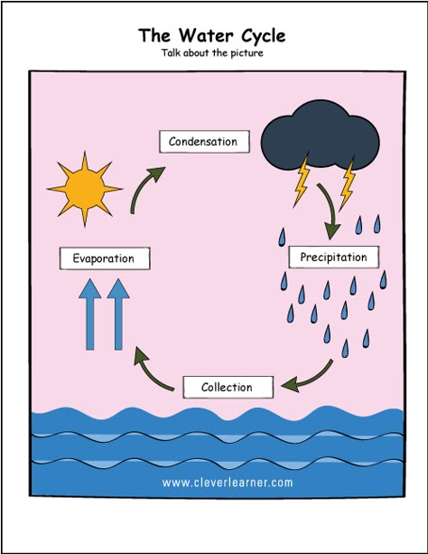 Printable water cycle worksheets for preschools Water Cycle Picture, Water Cycle Chart, Water Cycle Lessons, Water Cycle Craft, Water Cycle Model, Water Cycle For Kids, Water Cycle Poster, Water Cycle Project, Rain Cycle