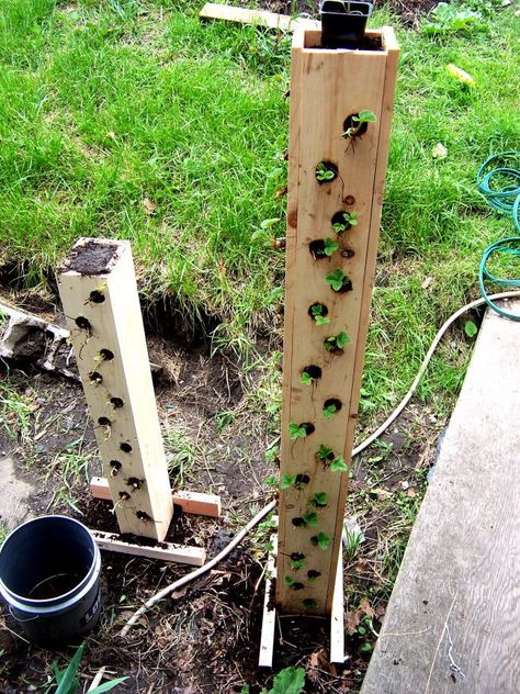 strawberry tower Strawberry Tower, Garden Vertical, Strawberry Planters, Vertical Herb Garden, Strawberry Garden, Tower Garden, Growing Strawberries, Strawberry Plants, Diy Planters