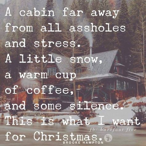 Winter Things, Christmas Wish List, Winter Quotes, Christmas Wish, Cabin In The Woods, Dream Quotes, What I Want, Wish List, True Quotes