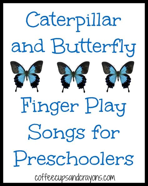 Caterpillar and Butterfly Finger Play Songs from Coffee Cups and Crayons Finger Play Songs, Songs For Preschoolers, Caterpillar And Butterfly, Songs For Preschool, Kindness For Kids, Butterfly Songs, Insects Preschool, Butterflies Activities, Bugs Preschool