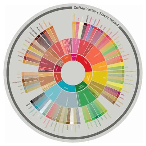 Flavor Wheel, Coffee Cupping, Coffee Organization, Coffee Industry, Coffee World, Different Fruits, Pomegranate Juice, Stone Fruit, A Whole New World