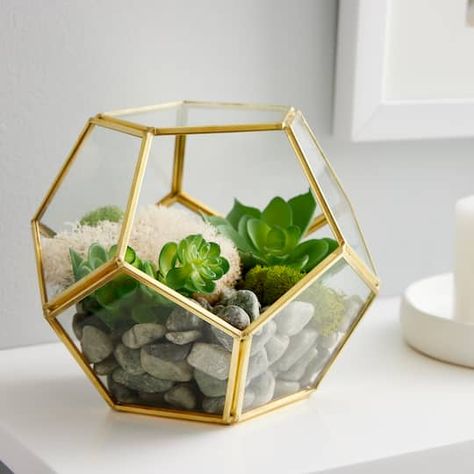 Succulents Colorful, Gold Terrarium, Beautiful Succulents, Terrarium Centerpiece, Geometric Planter, Glass Cylinder Vases, Geometric Terrarium, Octagon Shape, Cylinder Vase