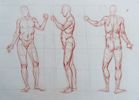 Ramon Hurtado | Figure Construction | Wednesdays  www.laafa.org/classes Gesture Drawings, Art College, Los Angeles Art, Human Figure Drawing, Human Anatomy Art, Anatomy Study, Figure Sketching, Gesture Drawing, Body Anatomy