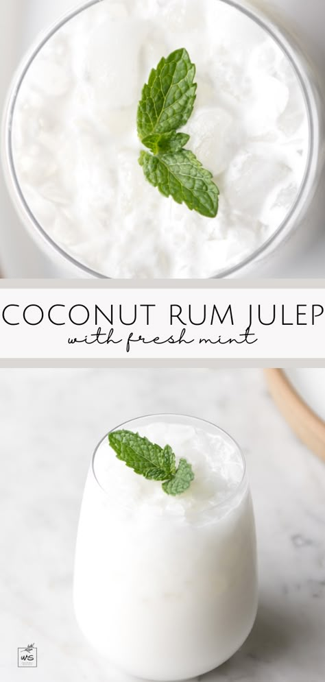 Basil Mojito, Mint Julep Cocktail, Boozy Hot Chocolate, Coconut Mojito, Sweet Lime, Coconut Drinks, Refreshing Cocktail, Pineapple Rum, Rum Cocktails