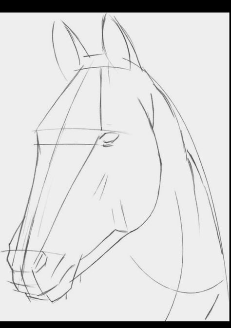 Animated Horse Drawing, Horse Side Profile Drawing, Pictures Of Horses To Draw, Horse Face Sketch, Horse Sketch Step By Step, Horse Art Drawing Sketches, Horse Easy Drawing, How To Draw A Horse, Horse Sketching