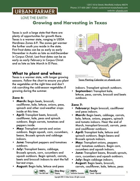 North Texas Gardening Schedule, Texas Gardening Vegetables, South Texas Gardening, North Texas Gardening, Gardening In Texas, Farming 101, Texas Homestead, Texas Gardens, Planting Dates