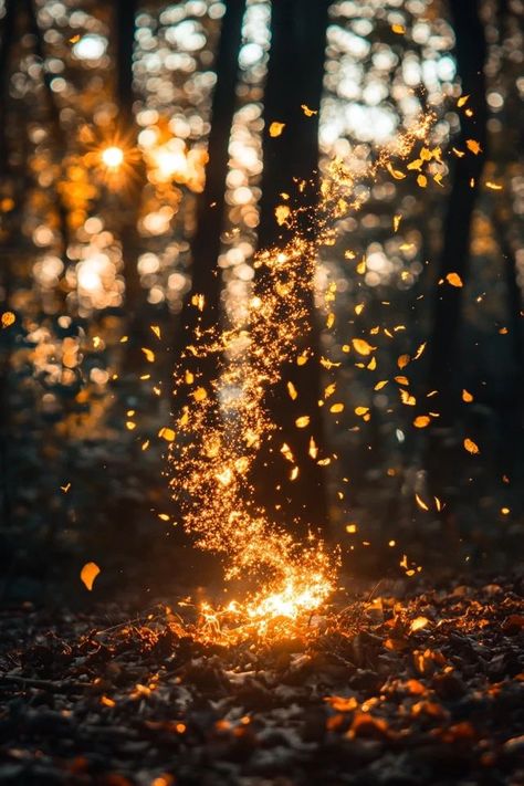 "Master the art of Golden Hour Magic and create stunning visuals! 🌄📸 #GoldenLight #PhotographySkills #GoldenHourLovers" Golden Hour Forest, Golden Hour Nature, Business Mentoring, Golden Landscape, Golden Hour Aesthetic, Holistic Business, Autumn Core, College Photography, Golden Hour Photography