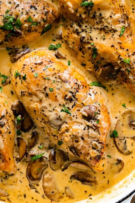 Chicken With Creamy Mushroom Sauce Recipe - Cucina by Elena Chicken Mushroom Sauce, Creamy Mushroom Sauce Recipe, Mushroom Sauce For Chicken, Tomato Sauce Chicken, No Sugar Recipes, Chicken Smothered, Chicken And Mushrooms, Mushroom Sauce Recipe, Everything Chicken