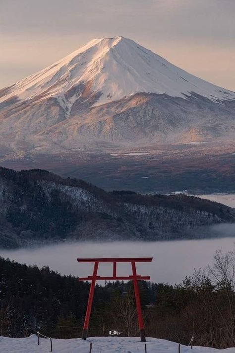 Japan In Winter Aesthetic, Japan Snow Aesthetic, Japan Nature Wallpaper, Japanese Nature Wallpaper, Japanese Nature Aesthetic, Japan Winter Aesthetic, Japan Nature Aesthetic, Japan Photography Aesthetic, Japan Winter Wallpaper