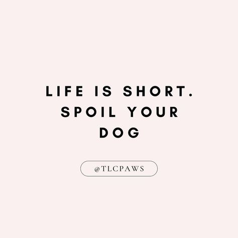 If our fur babies could live forever, the world would be a much better place! Sadly that’s not the case 😢💔 So take your furby for a walk, give them cuddles and their favourite treats, and treasure each moment we have with them ♥️ #spoilyourpet #doglife #doglovers #doglove #dogloversofinstagram #petlovers #petstagram #petlife #dogmom #instapet Fur Baby Quotes, Spoil Yourself, Live Forever, Pet Life, Baby Quotes, Living Forever, Life Is Short, Dog Life, A Walk