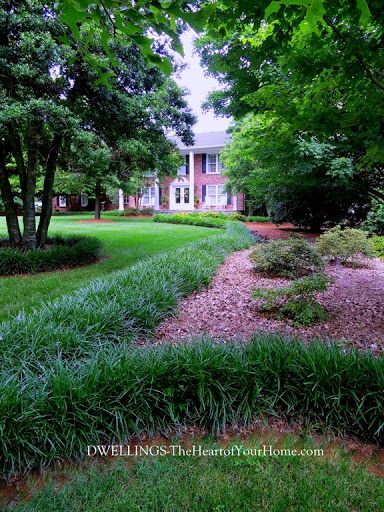 monkey grass Peaceful Backyard, Monkey Grass, Flower Bed Plants, Walkway Landscaping, Colonial Home, Diy Heart, Outdoor Paradise, Grasses Landscaping, Grass Flower