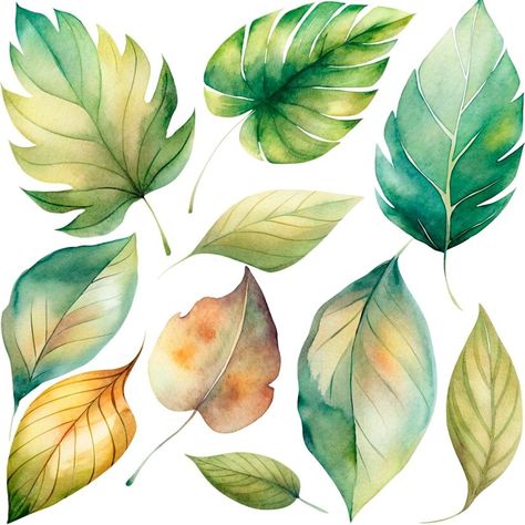 Premium PSD | A collection of different leaves and fruits including one that has the leaves on it Different Leaves, Plant Clipart, Printable Leaves, Leaves Sketch, Colouring Ideas, Leaf Watercolor, Leaf Clipart, Leaf Patterns, Leaf Images