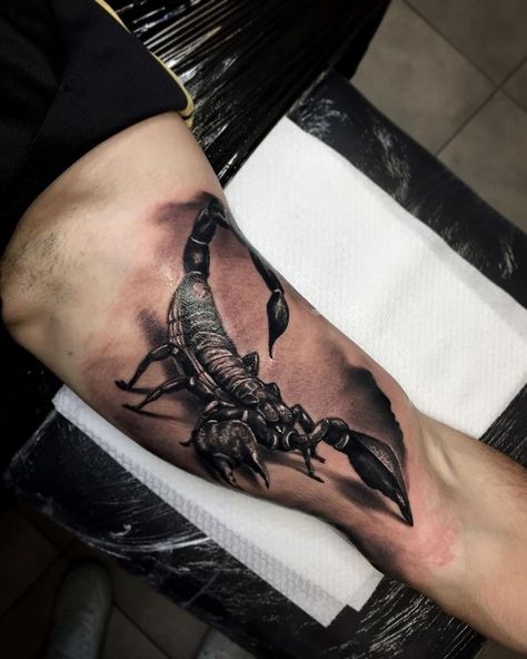 Scorpion Arm Tattoo Men, Scorpion Tattoos Men, Scorpion Tattoo For Men Arm, Scorpion Foot Tattoo, Scorpion Tattoo Design Men, Scorpio Tattoo For Men, Scorpion Tattoo For Men, Scorpion Sketch, Scorpio Tattoo Design