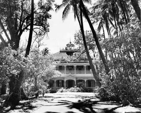 Honolulu, Hawaii: 1957    1957 photo of the ward estate. The entire estate was demolished in 1959 to make room for the Concert Hall, Exhitition Hall and the Blaisdell Center.It covered the entire block of Ward Ave. King St. and Kapiolani Blvd. Old Hawaii, Hawaii Photos, Hawaiian History, Hawaii Pictures, Coban, Vintage Hawaii, The Concert, Honolulu Hawaii, Hawaii Island