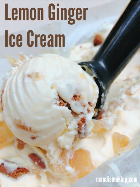 Ginger Ice Cream, Best Homemade Ice Cream, Frozen Yogurt Recipes, Gelato Recipe, Easy Ice Cream Recipe, Lemon Ice Cream, Ice Cream Maker Recipes, Dairy Free Ice Cream, Frozen Ice