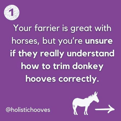 Loving your donkey is easy, but are you sure you’re meeting their unique health needs? 🤔 Most donkey owners struggle with these 4 things: 1️⃣ Farrier issues: Are they trimming donkey hooves correctly? 2️⃣ Diet concerns: Is their food causing hoof problems? 3️⃣ Environment: Is their space making hoof issues worse? 4️⃣ Hoof handling: Are you stressed every time you need to handle their hooves? If this sounds familiar, I’ve got the solution! In my Principles of Donkey Hooves & Health cours... You Sure, Love You, Health