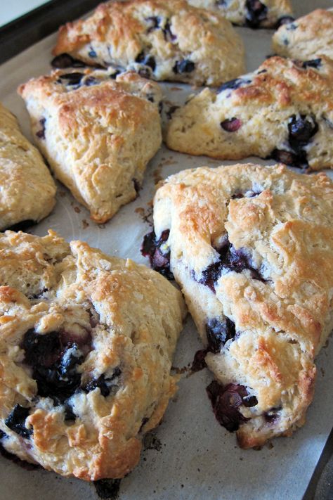 Blueberry Lemon Spelt Scones | Accidental Artisan Spelt Flour Recipes, Ancient Grains Recipes, Spelt Recipes, Chocolate Chip Scones, Blueberry Cream Cheese, Organic Blueberries, Blueberry Scones, Spelt Flour, Diamond Head