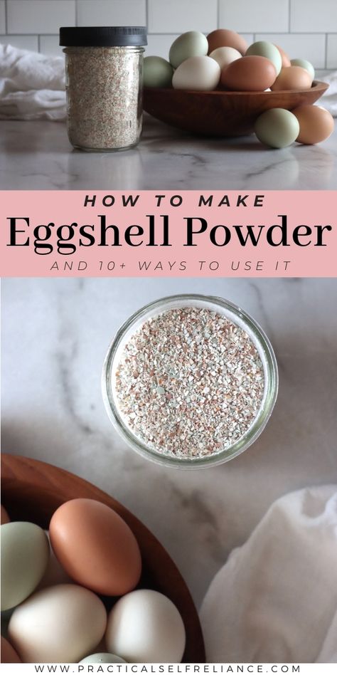 Egg Shell Uses, Dehydrating Eggs, Eggshell Powder, Preserving Eggs, Storing Eggs, Elevated Gardening, Powdered Eggs, Coconut Bowls, How To Make Eggs