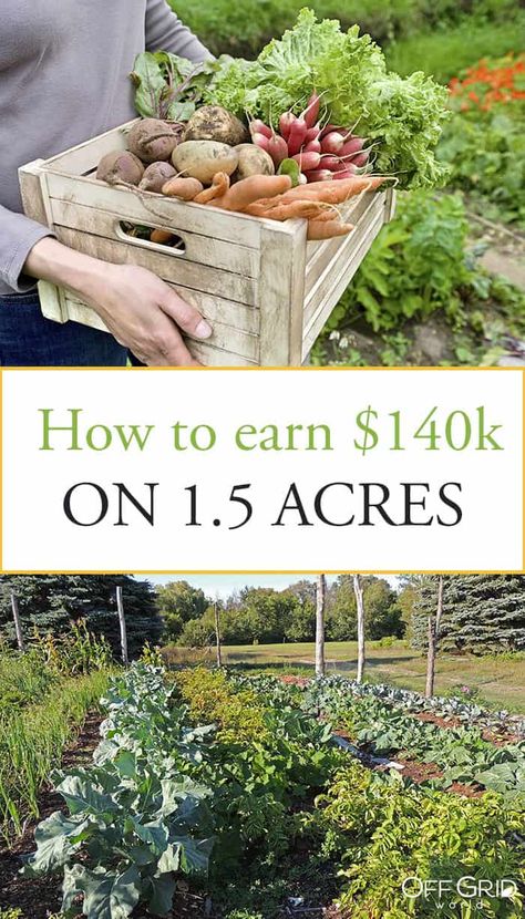 Small farm income Farming On 5 Acres, 1 Acre Farm Layout Vegetable Garden, How Many Acres For Homestead, 1.5 Acre Homestead Layout, Green House Set Up Inside, Farmette Small Farm, 5 Acre Homestead Layout Hobby Farms, How To Start A Farm, 1 Acre Homestead Layout Small Farm