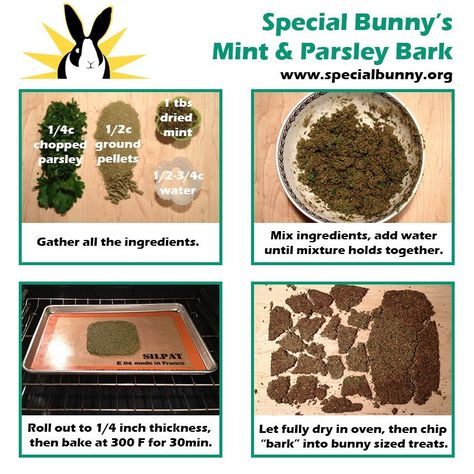 Bunny treats! Bunny Treats Recipes, Homemade Rabbit Treats, Diy Bunny Toys, Pet Rabbit Care, Rabbit Farm, Rabbit Treats, Diy Bunny, Raising Rabbits, Pet Bunny Rabbits