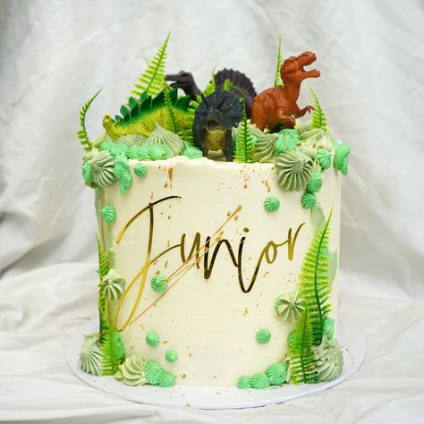 8 inch layered dinosaur themed cake. Green Dinosaur Cake, Two Layer Dinosaur Cake, Dinosaur Cake Rectangle, Splash Cake, Dinosaur Themed Cake, Butter Cream Dinosaur Cake, Ombre Dinosaur Cake, Dianousor Cake Design, Gold Splash