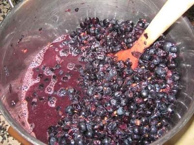 ​1. Harvesting and processing Homemade Grape Wine, Grape Wine Recipe, Home Made Wine, Wine Making Recipes, Homemade Wine Recipes, How To Make Home, Wine Making Kits, Brewing Recipes, Make Your Own Wine