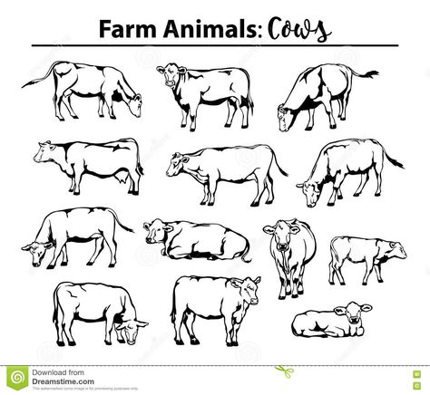 Different Cows Set In Contour, Outline. Stock Vector - Illustration of butcher, cattle: 78863313 Cow Laying Down Drawing, Sleeping Cow Drawing, Calves Drawing, How To Draw Cows, Cow Outline, Farm Mural, Cycle Drawing, Animal Line Drawings, Classroom Preparation