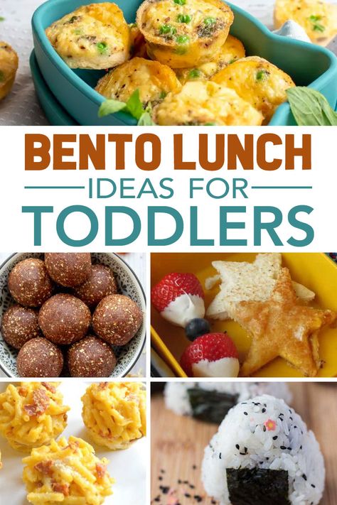 Bento Lunch Ideas For Kids, Easy Bento Lunch, Lunch Ideas For Toddlers, Bento Lunch Ideas, Easy Bento, Kids Lunch Box Meals, Toddler Lunch Box, Bento Box Lunch For Kids, Cream Cheese Roll Up