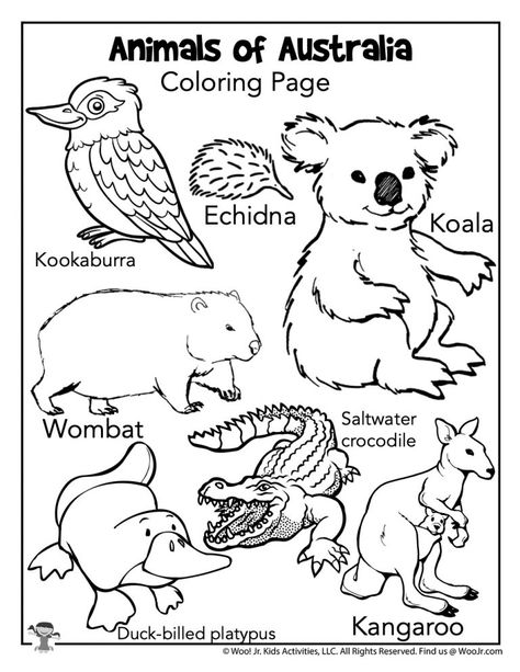 Alexander and the Terrible, Horrible, No Good, Very Bad Day Lesson Plan | Woo! Jr. Kids Activities Outback Animals Preschool, Australia Lesson Plans Preschool, Australian Outback Vbs Decorations, Zoomerang Vbs, Animals Of Australia, Australia For Kids, Animals Around The World, Australia Crafts, Animal Worksheets