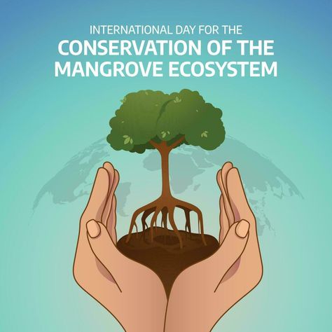 Ecosystem Design, Mangrove Ecosystem, Illustration Flat, Tree Saw, Heart Tree, International Day, Cityscape Photos, Logo Banners, Nature Backgrounds