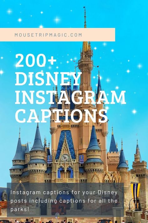 Our Disney Instagram captions make it easy to post your memories to Instagram! There's captions for Walt Disney World parks as well quotes and ideas for a range of Disney posts! Walt Disney World Quotes, Disneyworld Captions Instagram, Hollywood Studios Captions Instagram, Captions For Disney Pictures, Disney Content Ideas, Disney World Captions Instagram, Disney Insta Captions, Disneyland Captions For Instagram, Disney Quotes Aesthetic