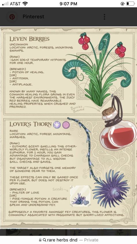 Dnd Homebrew Herbs, Alchemy Ingredients Art, Dnd 5e Plants, Dungeons And Dragons Plants, Dnd Magic Plants, Dnd Herbs List, Fantasy Potion Ingredients, Potion Ingredients Art, Dnd Potion Ingredients