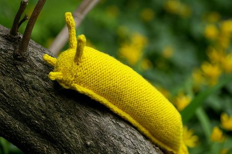 University of California, Santa Cruz official mascot (this one is knitted, not real) Banana Slugs, Banana Slug, Garden Snail, Insect Crafts, Crochet Goodies, Knit Wear, Knitted Wit, Plush Pattern, Pattern Library