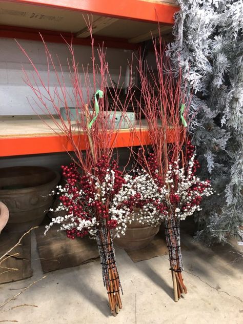 Red Twig Dogwood Christmas Decor, Dogwood Shrub, Winter Pots, Winter Containers, Porch Pots, Winter Planters, Stick Decor, Christmas Urns, Outdoor Christmas Planters