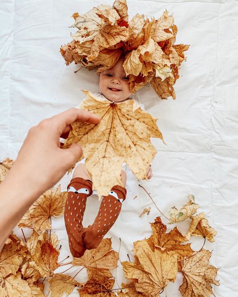 Baby Autumn Photoshoot, November Newborn Photoshoot, Autumn Newborn, Autumn Baby Photoshoot, Autumn Newborn Photoshoot, November Photoshoot Ideas, Fall Themed Newborn Photos, Fall Baby Pictures, Cute Pregnancy Pictures