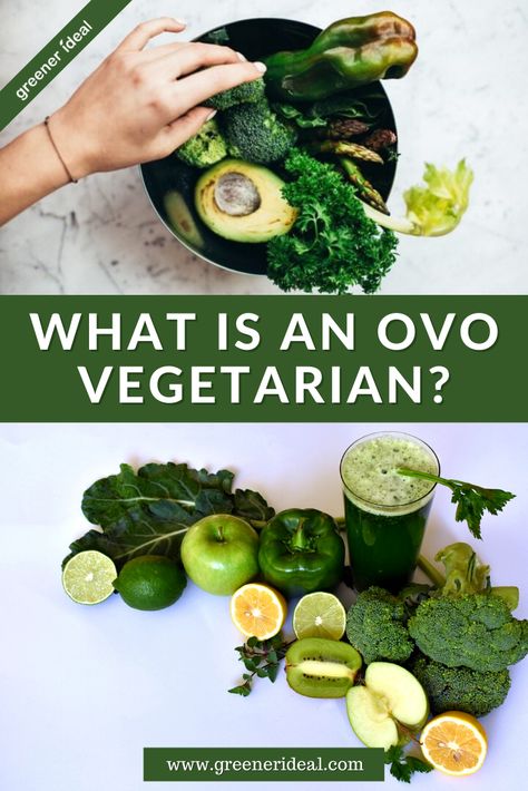 Ovo-vegetarians are people who follow a vegetarian diet that also includes eggs and egg products such as mayonnaise. Check out this post to learn more about Ovo Vegetarian. #Vegetarian #VegetarianLiving #VegetarianLifestyle #GoVegetarian #Ecofriendly #Environment #Diet #VegetarianDiet #plantbased #CO2 #GoGreen #GreenLivingTips #OvoVegetarian #Vegetarianism Vegetarian Shopping List, Healthy Vag, Ovo Vegetarian, Vegetarian Lifestyle, Vegetarian Protein, Going Vegetarian, Vegan Living, Broth Recipes, Health Vitamins