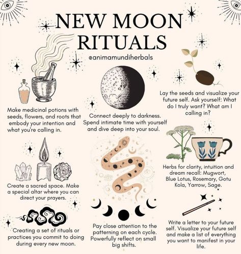 9 Things You Should (and Should Not!) Do During a New 🌑 Moon Spells To Connect With Spirits, Witch Marks, Shadow Journal, Spiritual Understanding, Witchy Journal, Supraviețuire Camping, Witch Spells, Witch Tools, Moon Magick