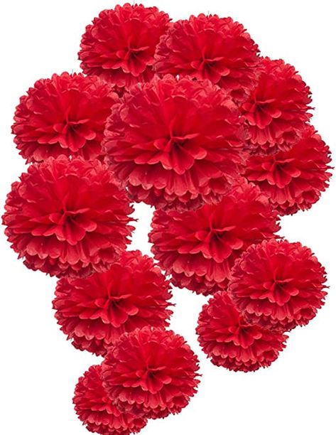 AmazonSmile: MOWO Red Paper Flower Tissue Pom Poms Party Supplies (red,12pc) : Home & Kitchen Tissue Paper Pom Poms Diy, Nursery Wedding, Tissue Paper Crafts, Tissue Pom Poms, Tissue Paper Pom Poms, Paper Pom Poms, Party Garden, Flower Ball, Red Paper