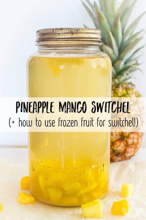 This Pineapple Mango Switchel hits the spot, cools you down, balances electrolytes, and gives your taste buds a mini tropical vacation with bright pineapple and mango flavors! It's the perfect healthy drink for summer and post-workout! Learn the benefits of switchel plus how to use frozen fruit for switchel! #allthenourishingthings #switchel #applecidervinegar #healthysummerdrinks #sportsdrinks #homemadeswitchel Switchel Drink Recipe, Fermented Condiments, Paleo Beverages, Apothecary Garden, Fermented Beverages, Shrub Drink, Switchel Recipe, Shrub Recipe, Drink For Summer