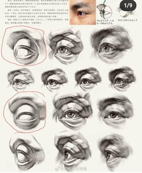 How To Draw Anything, Improve Your Drawing Skills, Improve Your Drawing, Drawing Study, Draw Anything, Academic Drawing, Nose Drawing, Human Anatomy Drawing, Portraiture Drawing