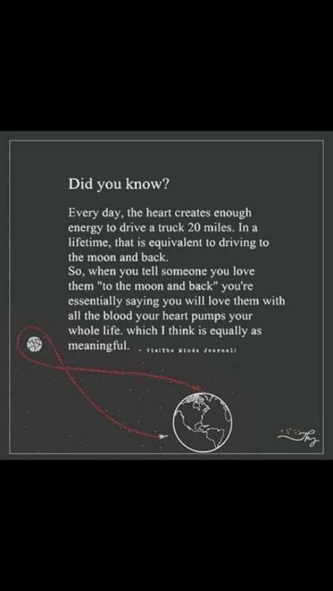 To The Moon And Back Meaning, I Would Give You The Moon, I Love You To The Moon And Back Meaning, Love U To The Moon And Back, Moon And Back, To The Moon And Never Back, I Love You To The Moon And Back, Love You To The Moon And Back, Learn Quotes