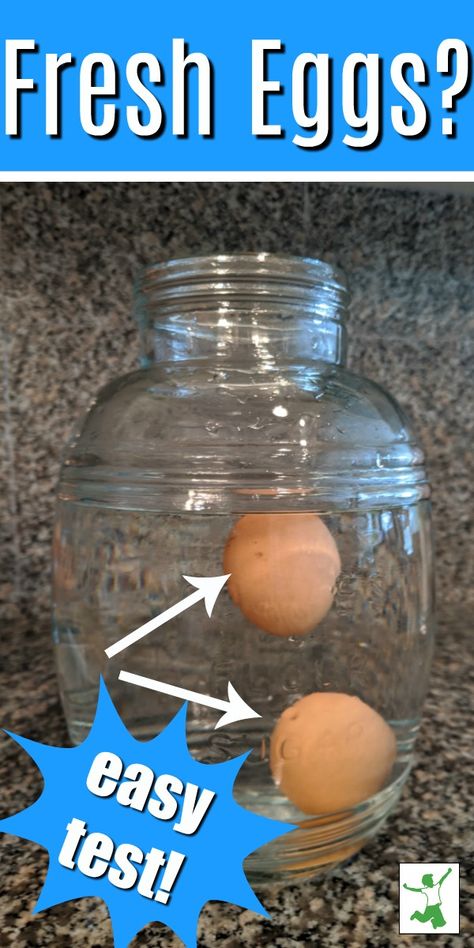 If you don't know this simple egg test, you have to read this post.  It will be something you use often, especially if you use fresh eggs or just to make sure the eggs you bought are still good.  Snag this post to learn a fun and easy egg test.  #eggs #fresh #test #simple #easy Egg Freshness Test, Are My Eggs Still Good, How To Tell If Eggs Are Fresh, How To Know If An Egg Is Still Good, How To Test Eggs To See If They Are Good, How To Check If Eggs Are Good, Eggs Fresh Or Not, How To Tell If Eggs Are Good, How To Know If Eggs Are Still Good