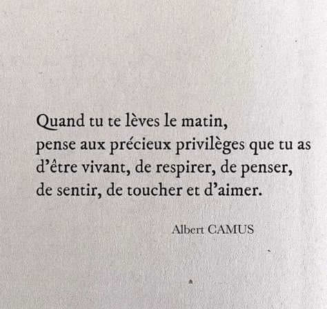 Everybody Hurts, Message Positif, Quote Citation, Life Guide, Albert Camus, Daily Motivation, Positive Vibes, Book Quotes, Words Quotes